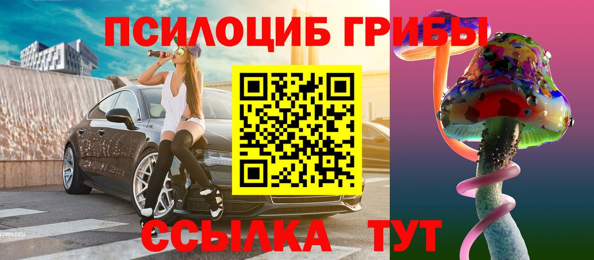 Стрежевой  Псилоцибиновые грибы Psilocybine cubensis  Вход с VPN 