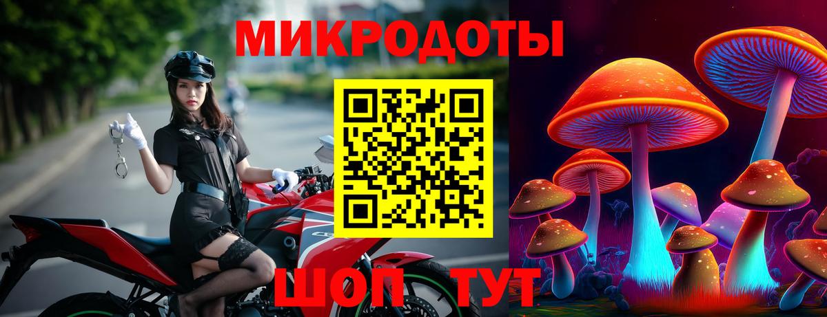 Галлюциногенные грибы мицелий Стрежевой
